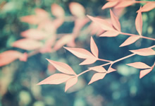 瑞士选手再度获奖，展现实力