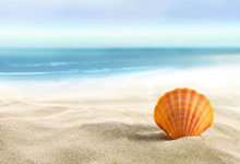 法兰克福主场惨败柏林赫塔！