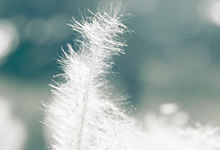 切尔里美小组实现势不可挡，登峰造极！